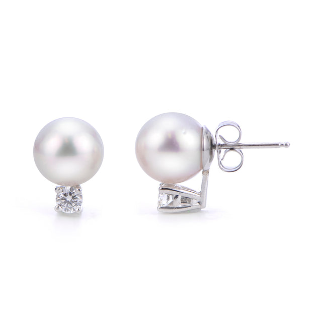 14KT White Gold South Sea Pearl Earring