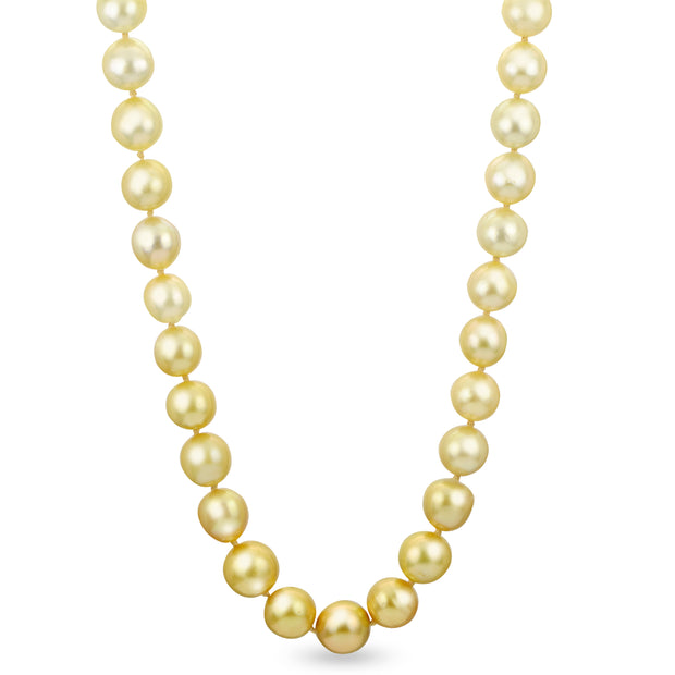 14KT Yellow Gold Golden South Sea Pearl Necklace